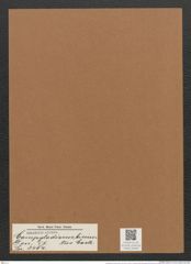 Campylodiscus bicinctus Castr. (de-Toni-Nr.: Genus 57, Species 2464) Zeichnungen Sammlung Grunow Mappe 02640 (Herbarium_W_Grunow_drawings_Folder_02640)